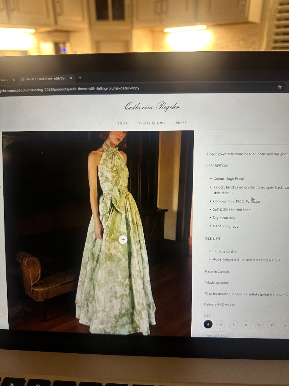 Catherine Regehr Gown